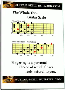 3d Whole Tone Staggard