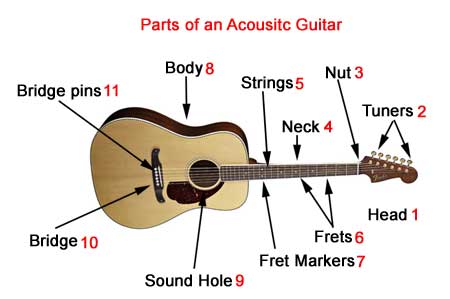 The Structure of the Acoustic Guitar：The rule of strings and